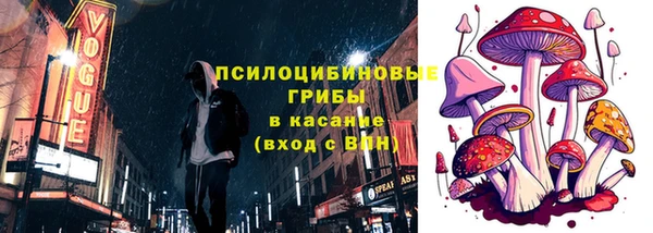 твердый Алексин