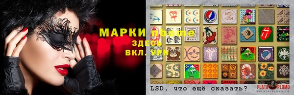 каннабис Алзамай