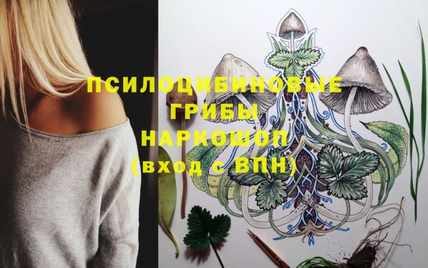 твердый Алексин