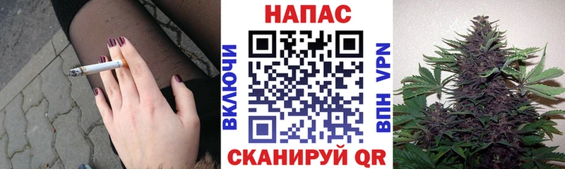 Каннабис конопля Апатиты